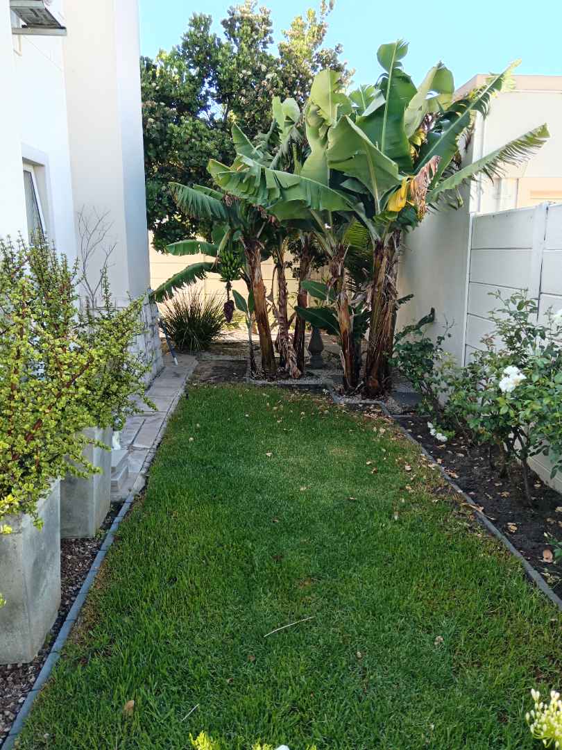 4 Bedroom Property for Sale in Parklands North Western Cape